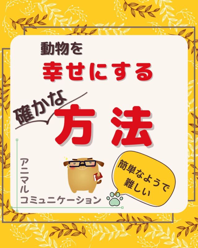 アニマルコミュニケーション講座 東京 動物と話す アニマルコミュニケーション講座 東京 動物と話す